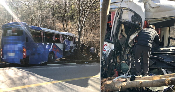 중학생 축구클럽 버스 나무 받아…중학생 1명 사망·30명 부상(상보)