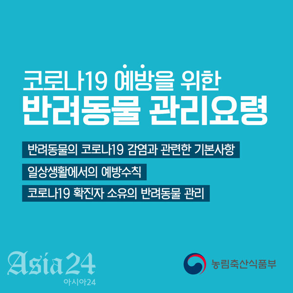 코로나19 반려동물 위탁보호 돌봄서비스 문의는? "각 지자체로"