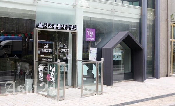 "새 가족 만난 강아지들, 축하" 서초동물사랑센터서 첫 입양식 개최
