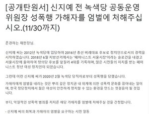 "신지예 전 녹색당 위원장, 성폭행범 엄벌해 달라" 공개 탄원, 동참 호소
