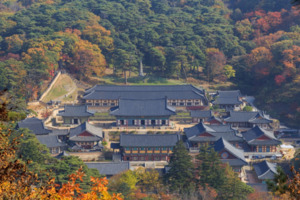 합천 해인사·황매산군립공원 한국관광100선 선정