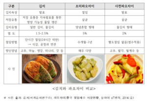 김치가 중국서 전래?…中 관영매체 또 한중갈등 불붙여